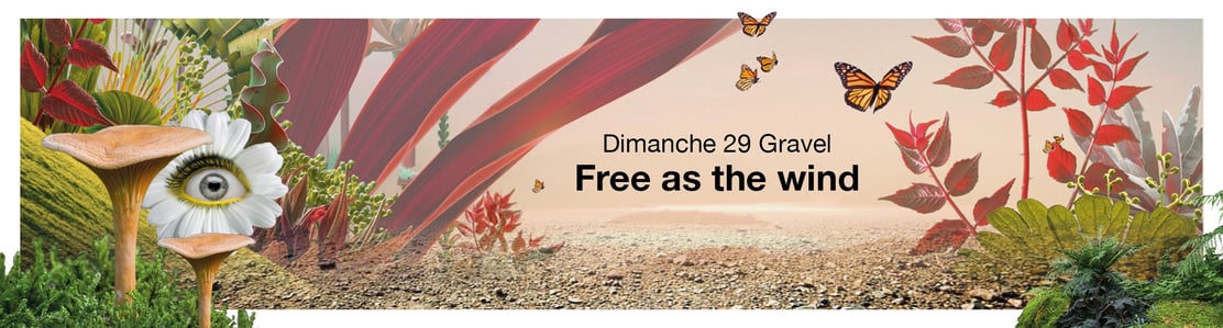 dimanche 29 en